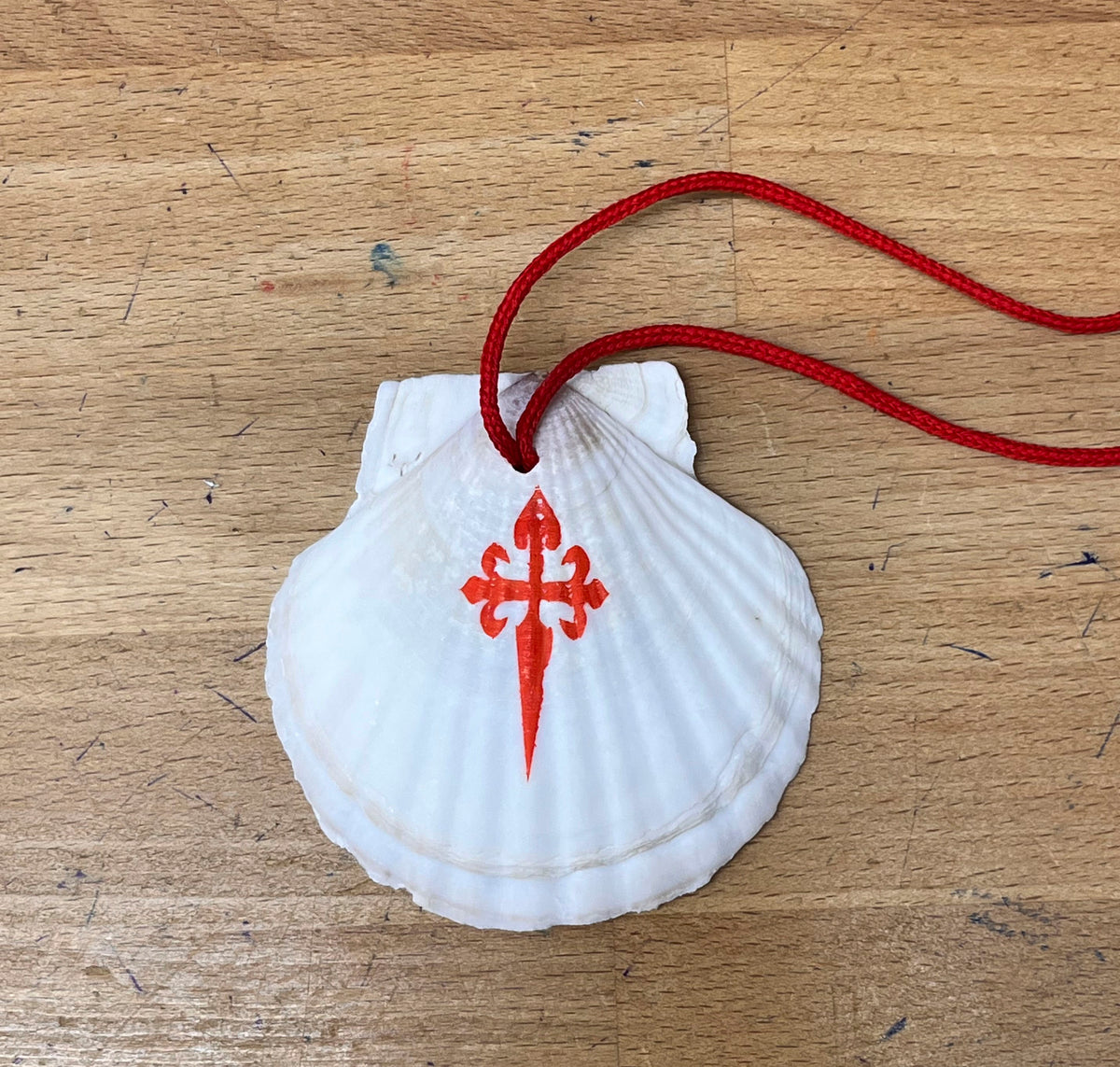 Authentic pilgrim scallop shell