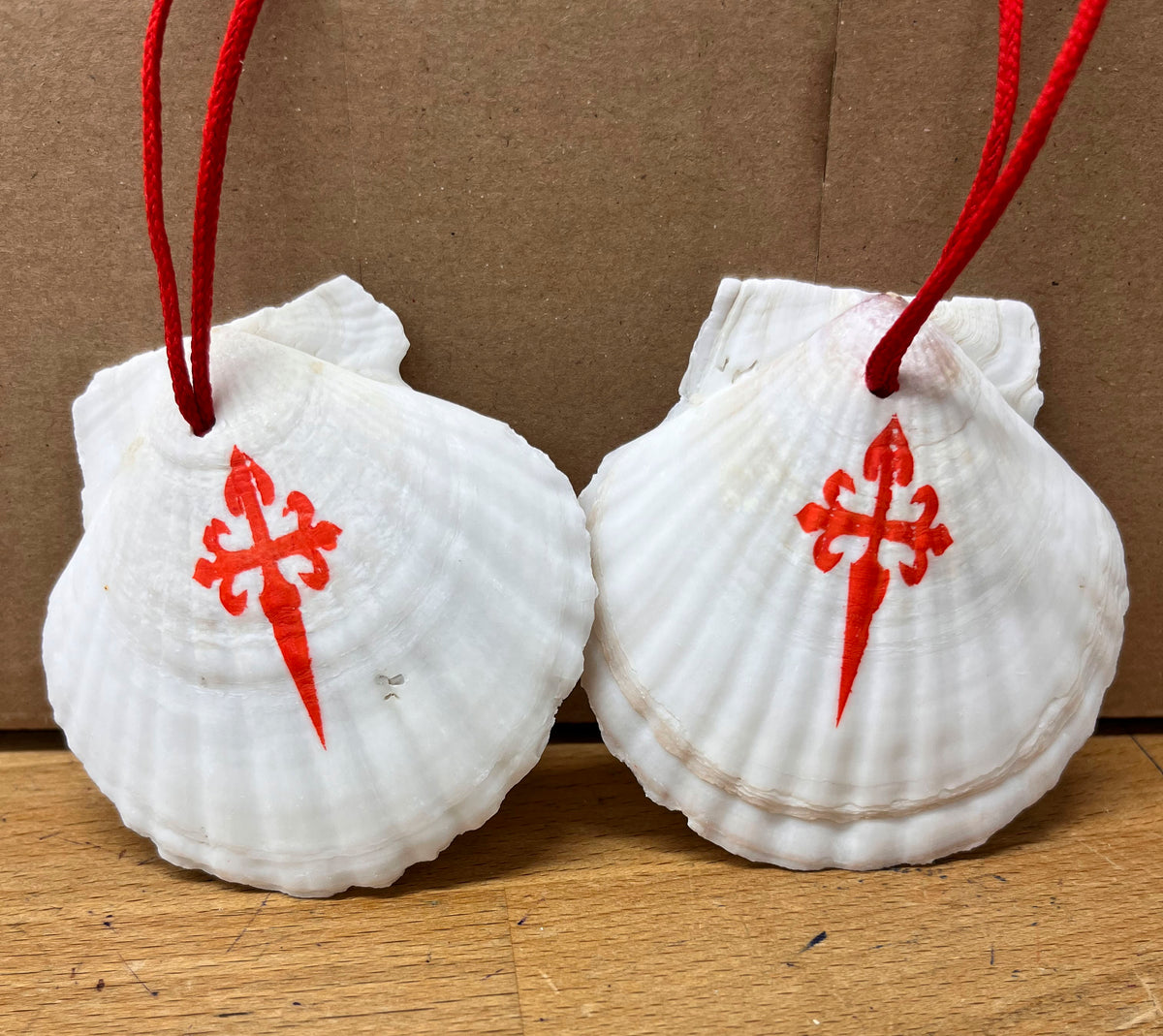 Authentic pilgrim scallop shell