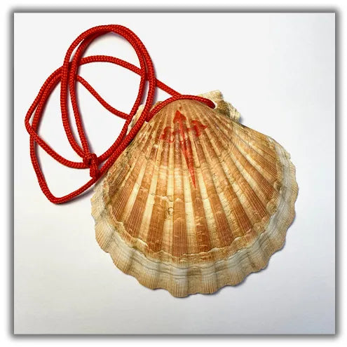 Authentic pilgrim shells