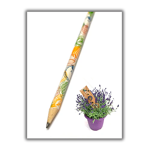 Pilgrim Pen