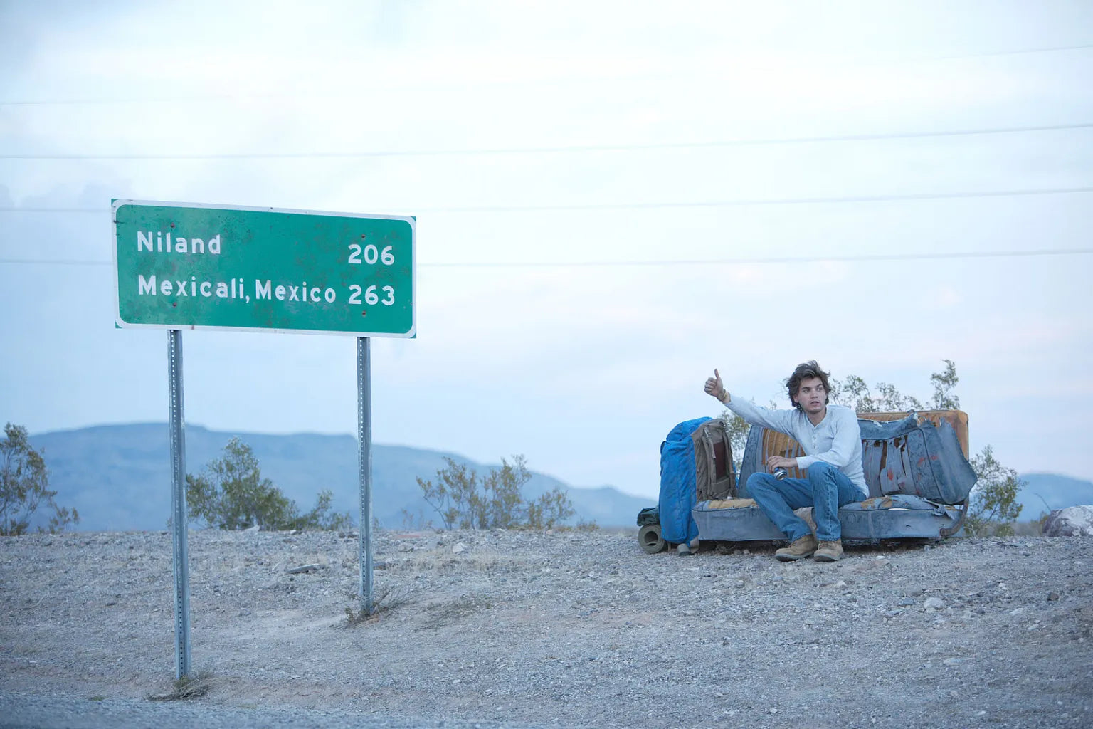 Into the Wild (DVD)