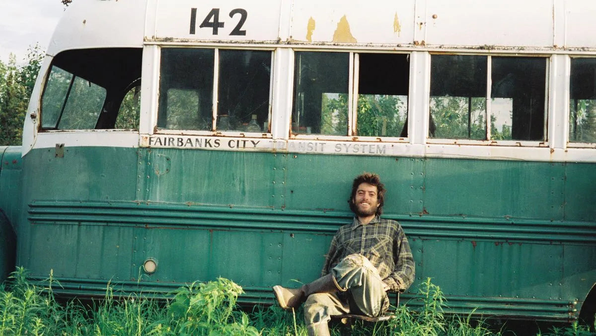 Into the Wild (DVD)