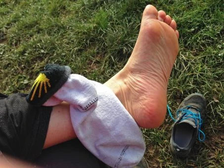 Double-Layer Pilgrim Socks long