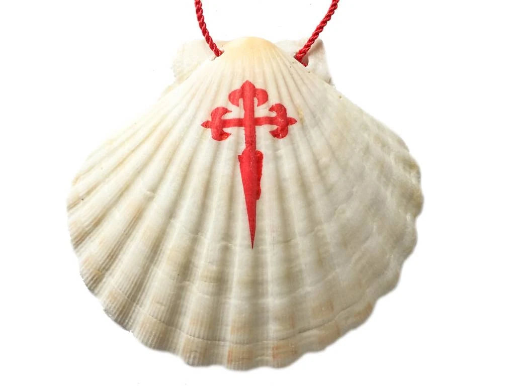 Authentic white pilgrim shell with red Cross of St James and red cord