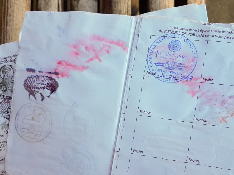 Simple Protective Sleeve for Pilgrim Passport